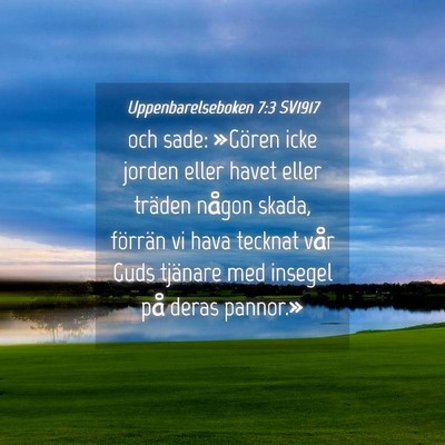 Picture 04 - Uppenbarelseboken 7:3 SV1917 - och sade: »Gören icke jorden eller havet eller - Bible Verse Picture