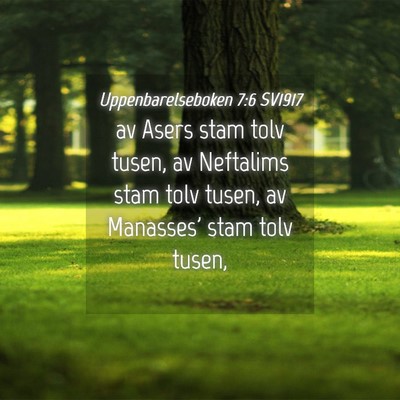 Picture 04 - Uppenbarelseboken 7:6 SV1917 - av Asers stam tolv tusen, av Neftalims stam tolv - Bible Verse Picture