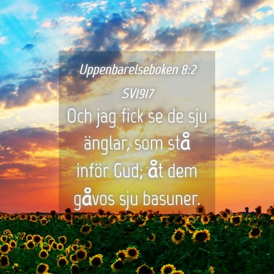 Picture 04 - Uppenbarelseboken 8:2 SV1917 - Och jag fick se de sju änglar, som stå inför - Bible Verse Picture