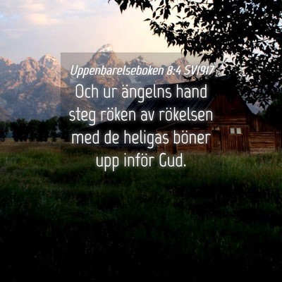 Picture 04 - Uppenbarelseboken 8:4 SV1917 - Och ur ängelns hand steg röken av rökelsen med - Bible Verse Picture