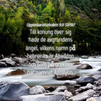 Picture 04 - Uppenbarelseboken 9:11 SV1917 - Till konung över sig hade de avgrundens ängel, - Bible Verse Picture
