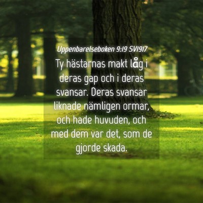 Picture 04 - Uppenbarelseboken 9:19 SV1917 - Ty hästarnas makt låg i deras gap och i deras - Bible Verse Picture