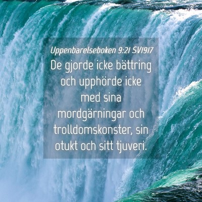 Picture 04 - Uppenbarelseboken 9:21 SV1917 - De gjorde icke bättring och upphörde icke med - Bible Verse Picture