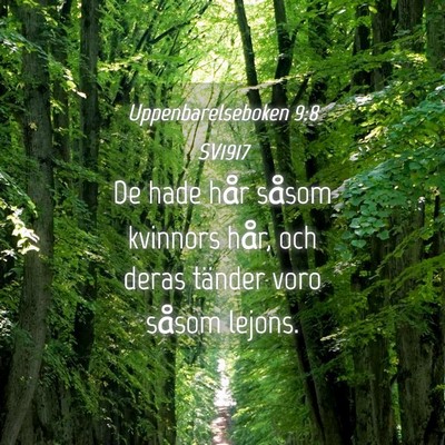 Picture 04 - Uppenbarelseboken 9:8 SV1917 - De hade hår såsom kvinnors hår, och deras - Bible Verse Picture
