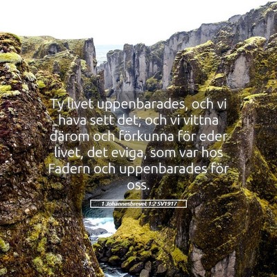 Picture 05 - 1 Johannesbrevet 1:2 SV1917 - Ty livet uppenbarades, och vi hava sett det; och - Bible Verse Picture