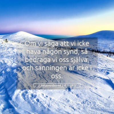 Picture 05 - 1 Johannesbrevet 1:8 SV1917 - Om vi säga att vi icke hava någon synd, så - Bible Verse Picture