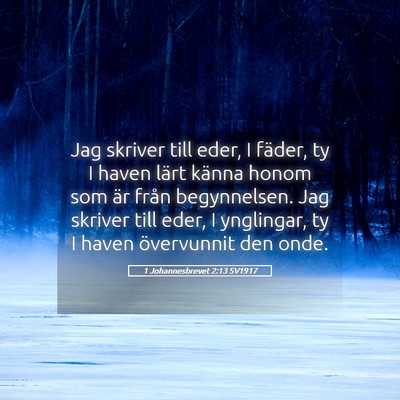 Picture 05 - 1 Johannesbrevet 2:13 SV1917 - Jag skriver till eder, I fäder, ty I haven lärt - Bible Verse Picture