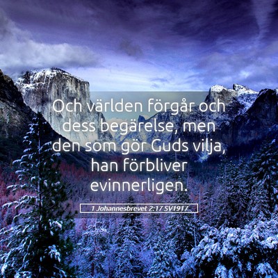 Picture 05 - 1 Johannesbrevet 2:17 SV1917 - Och världen förgår och dess begärelse, men - Bible Verse Picture