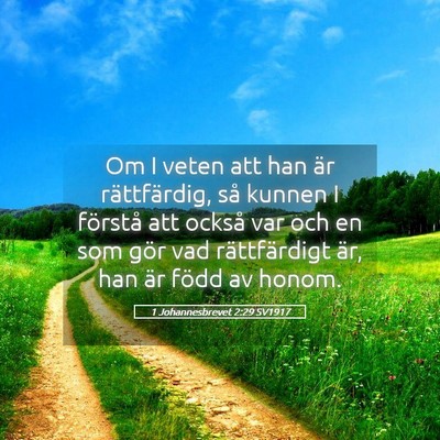 Picture 05 - 1 Johannesbrevet 2:29 SV1917 - Om I veten att han är rättfärdig, så kunnen I - Bible Verse Picture