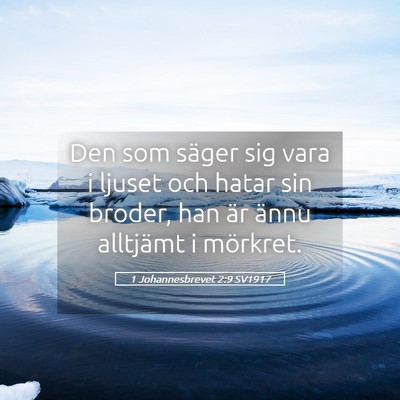 Picture 05 - 1 Johannesbrevet 2:9 SV1917 - Den som säger sig vara i ljuset och hatar sin - Bible Verse Picture
