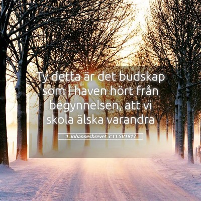Picture 05 - 1 Johannesbrevet 3:11 SV1917 - Ty detta är det budskap som I haven hört från - Bible Verse Picture