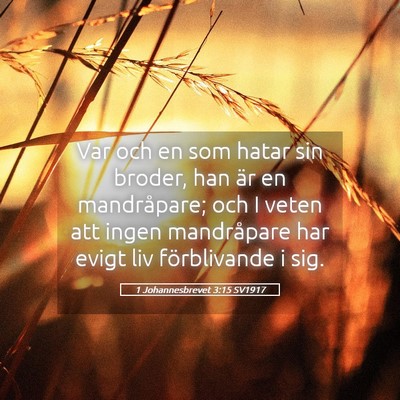 Picture 05 - 1 Johannesbrevet 3:15 SV1917 - Var och en som hatar sin broder, han är en - Bible Verse Picture