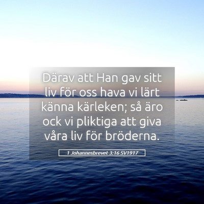Picture 05 - 1 Johannesbrevet 3:16 SV1917 - Därav att Han gav sitt liv för oss hava vi - Bible Verse Picture