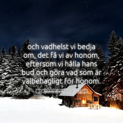 Picture 05 - 1 Johannesbrevet 3:22 SV1917 - och vadhelst vi bedja om, det få vi av honom, - Bible Verse Picture