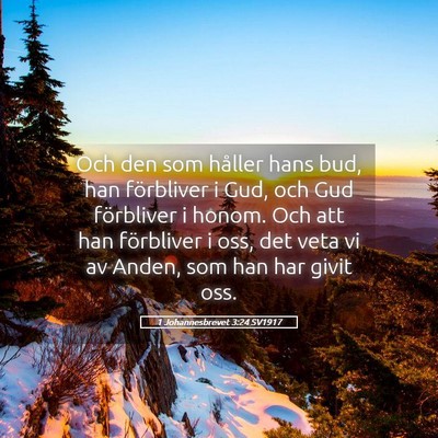Picture 05 - 1 Johannesbrevet 3:24 SV1917 - Och den som håller hans bud, han förbliver i - Bible Verse Picture