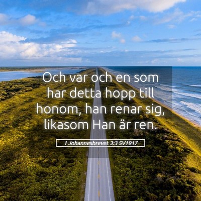 Picture 05 - 1 Johannesbrevet 3:3 SV1917 - Och var och en som har detta hopp till honom, han - Bible Verse Picture