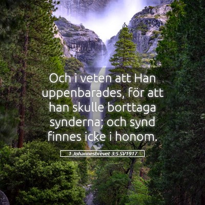 Picture 05 - 1 Johannesbrevet 3:5 SV1917 - Och i veten att Han uppenbarades, för att han - Bible Verse Picture