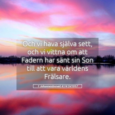 Picture 05 - 1 Johannesbrevet 4:14 SV1917 - Och vi hava själva sett, och vi vittna om att - Bible Verse Picture