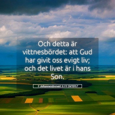 Picture 05 - 1 Johannesbrevet 5:11 SV1917 - Och detta är vittnesbördet: att Gud har givit - Bible Verse Picture
