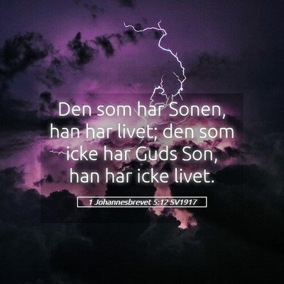 Picture 05 - 1 Johannesbrevet 5:12 SV1917 - Den som har Sonen, han har livet; den som icke - Bible Verse Picture