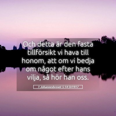 Picture 05 - 1 Johannesbrevet 5:14 SV1917 - Och detta är den fasta tillförsikt vi hava till - Bible Verse Picture