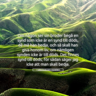 Picture 05 - 1 Johannesbrevet 5:16 SV1917 - Om någon ser sin broder begå en synd som icke - Bible Verse Picture