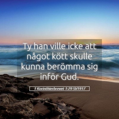 Picture 05 - 1 Korinthierbrevet 1:29 SV1917 - Ty han ville icke att något kött skulle kunna - Bible Verse Picture