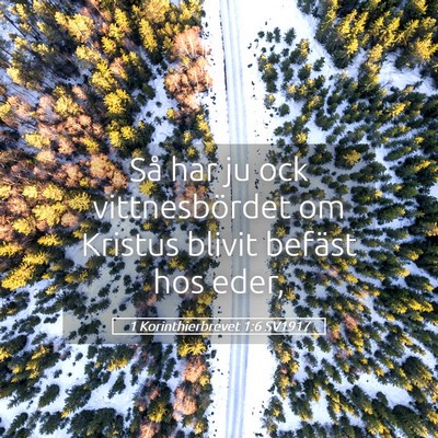 Picture 05 - 1 Korinthierbrevet 1:6 SV1917 - Så har ju ock vittnesbördet om Kristus blivit - Bible Verse Picture