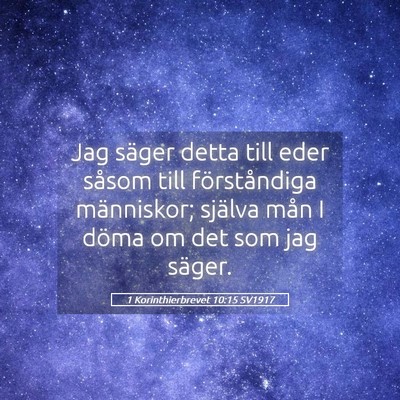 Picture 05 - 1 Korinthierbrevet 10:15 SV1917 - Jag säger detta till eder såsom till - Bible Verse Picture
