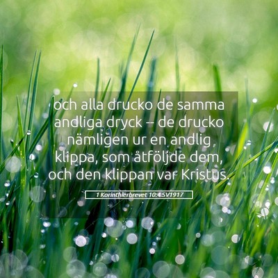 Picture 05 - 1 Korinthierbrevet 10:4 SV1917 - och alla drucko de samma andliga dryck -- de - Bible Verse Picture
