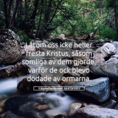 Picture 05 - 1 Korinthierbrevet 10:9 SV1917 - Låtom oss icke heller fresta Kristus, såsom - Bible Verse Picture