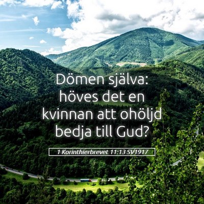 Picture 05 - 1 Korinthierbrevet 11:13 SV1917 - Dömen själva: höves det en kvinnan att ohöljd - Bible Verse Picture