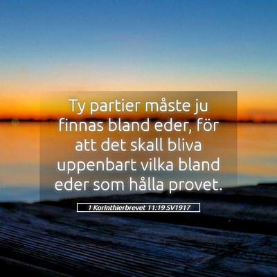 Picture 05 - 1 Korinthierbrevet 11:19 SV1917 - Ty partier måste ju finnas bland eder, för att - Bible Verse Picture
