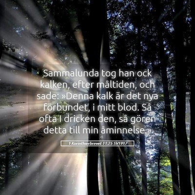 Picture 05 - 1 Korinthierbrevet 11:25 SV1917 - Sammalunda tog han ock kalken, efter måltiden, - Bible Verse Picture