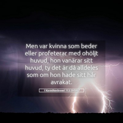 Picture 05 - 1 Korinthierbrevet 11:5 SV1917 - Men var kvinna som beder eller profeterar med - Bible Verse Picture