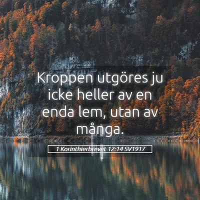 Picture 05 - 1 Korinthierbrevet 12:14 SV1917 - Kroppen utgöres ju icke heller av en enda lem, - Bible Verse Picture