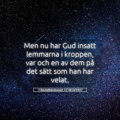 Picture 05 - 1 Korinthierbrevet 12:18 SV1917 - Men nu har Gud insatt lemmarna i kroppen, var och - Bible Verse Picture