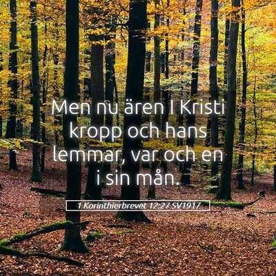 Picture 05 - 1 Korinthierbrevet 12:27 SV1917 - Men nu ären I Kristi kropp och hans lemmar, var - Bible Verse Picture