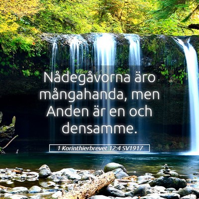 Picture 05 - 1 Korinthierbrevet 12:4 SV1917 - Nådegåvorna äro mångahanda, men Anden är en - Bible Verse Picture