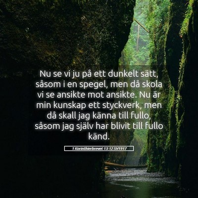 Picture 05 - 1 Korinthierbrevet 13:12 SV1917 - Nu se vi ju på ett dunkelt sätt, såsom i en - Bible Verse Picture