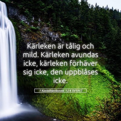 Picture 05 - 1 Korinthierbrevet 13:4 SV1917 - Kärleken är tålig och mild. Kärleken avundas - Bible Verse Picture