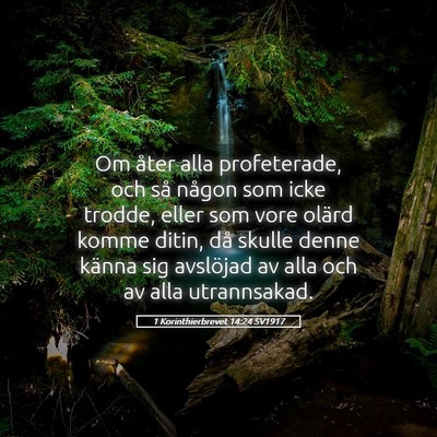 Picture 05 - 1 Korinthierbrevet 14:24 SV1917 - Om åter alla profeterade, och så någon som - Bible Verse Picture