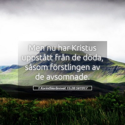 Picture 05 - 1 Korinthierbrevet 15:20 SV1917 - Men nu har Kristus uppstått från de döda, - Bible Verse Picture