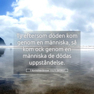Picture 05 - 1 Korinthierbrevet 15:21 SV1917 - Ty eftersom döden kom genom en människa, så - Bible Verse Picture
