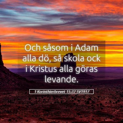 Picture 05 - 1 Korinthierbrevet 15:22 SV1917 - Och såsom i Adam alla dö, så skola ock i - Bible Verse Picture