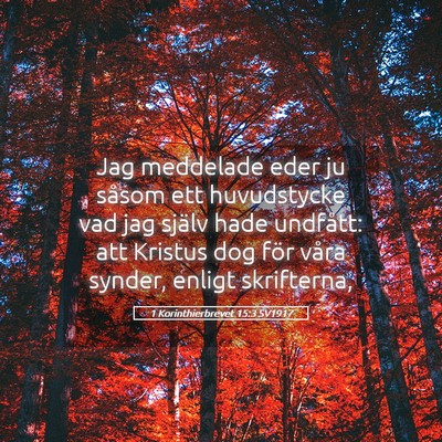 Picture 05 - 1 Korinthierbrevet 15:3 SV1917 - Jag meddelade eder ju såsom ett huvudstycke vad - Bible Verse Picture