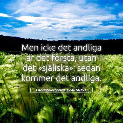 Picture 05 - 1 Korinthierbrevet 15:46 SV1917 - Men icke det andliga är det första, utan det - Bible Verse Picture