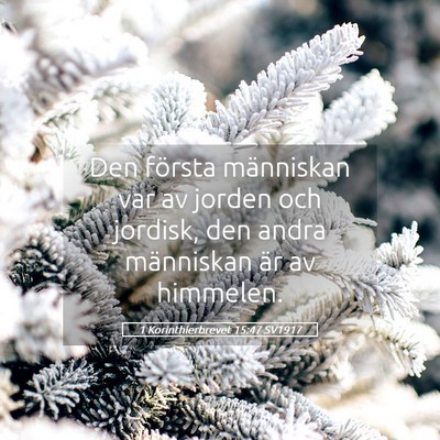 Picture 05 - 1 Korinthierbrevet 15:47 SV1917 - Den första människan var av jorden och jordisk, - Bible Verse Picture