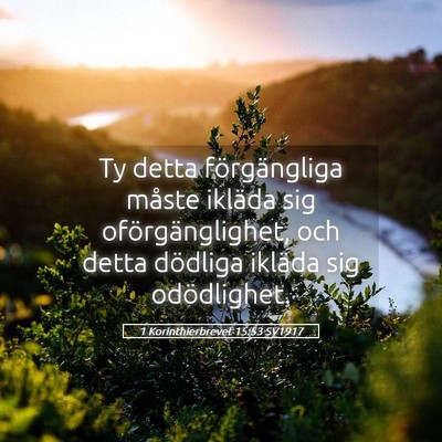 Picture 05 - 1 Korinthierbrevet 15:53 SV1917 - Ty detta förgängliga måste ikläda sig - Bible Verse Picture