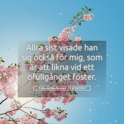 Picture 05 - 1 Korinthierbrevet 15:8 SV1917 - Allra sist visade han sig också för mig, som - Bible Verse Picture